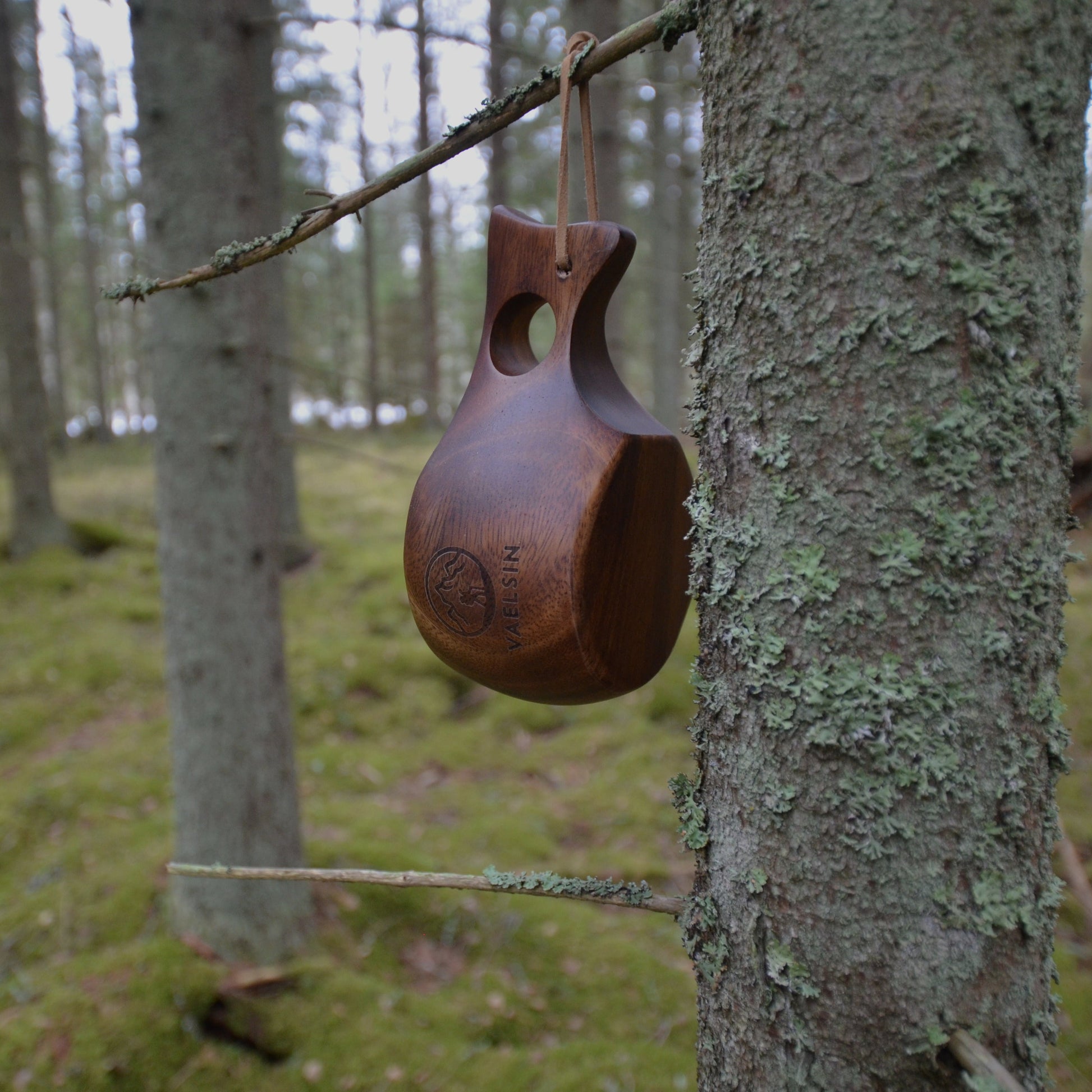 Kuksa wooden mug hanging from a tree
